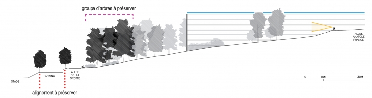 PoOla - architecture du paysage - Coupe longitudinale