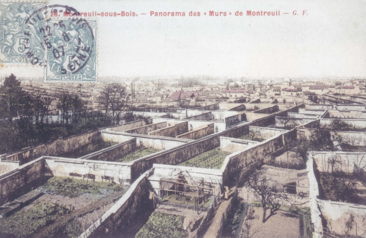 PoOla - architecture du paysage - Les murs à pêches de Montreuil